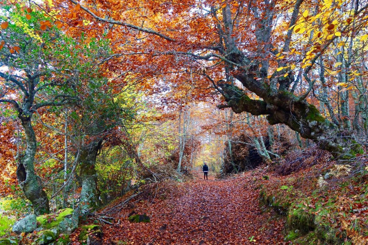 Penzion Casas Rurales De Caín Exteriér fotografie