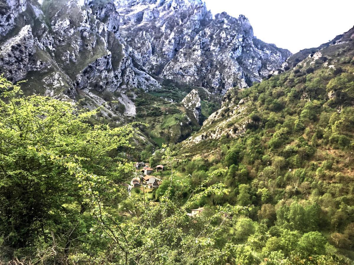 Penzion Casas Rurales De Caín Exteriér fotografie